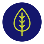 Icono de la Dirección de Mantenimiento de Infraestructura y Áreas Verdes