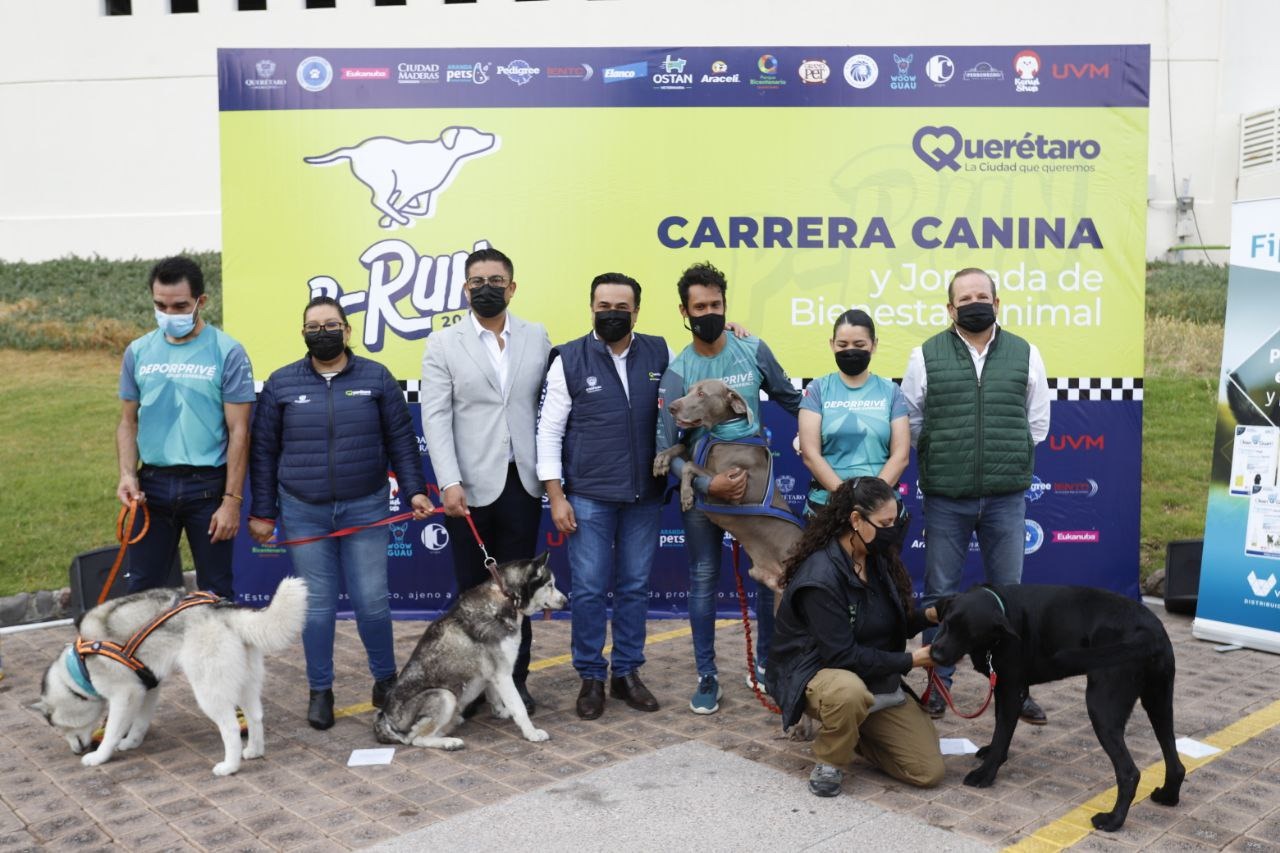 Imagen de Llega la segunda carrera canina P-Run 2022 en el Parque Bicentenario 1