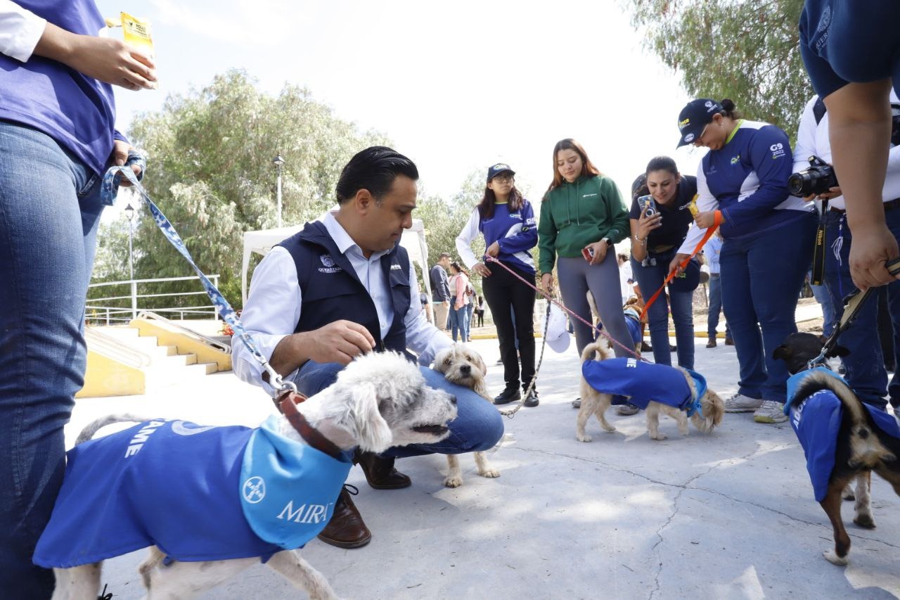 Imagen de En el Día Mundial del Perro Callejero, promueve Luis Nava la tenencia responsable de mascotas 1