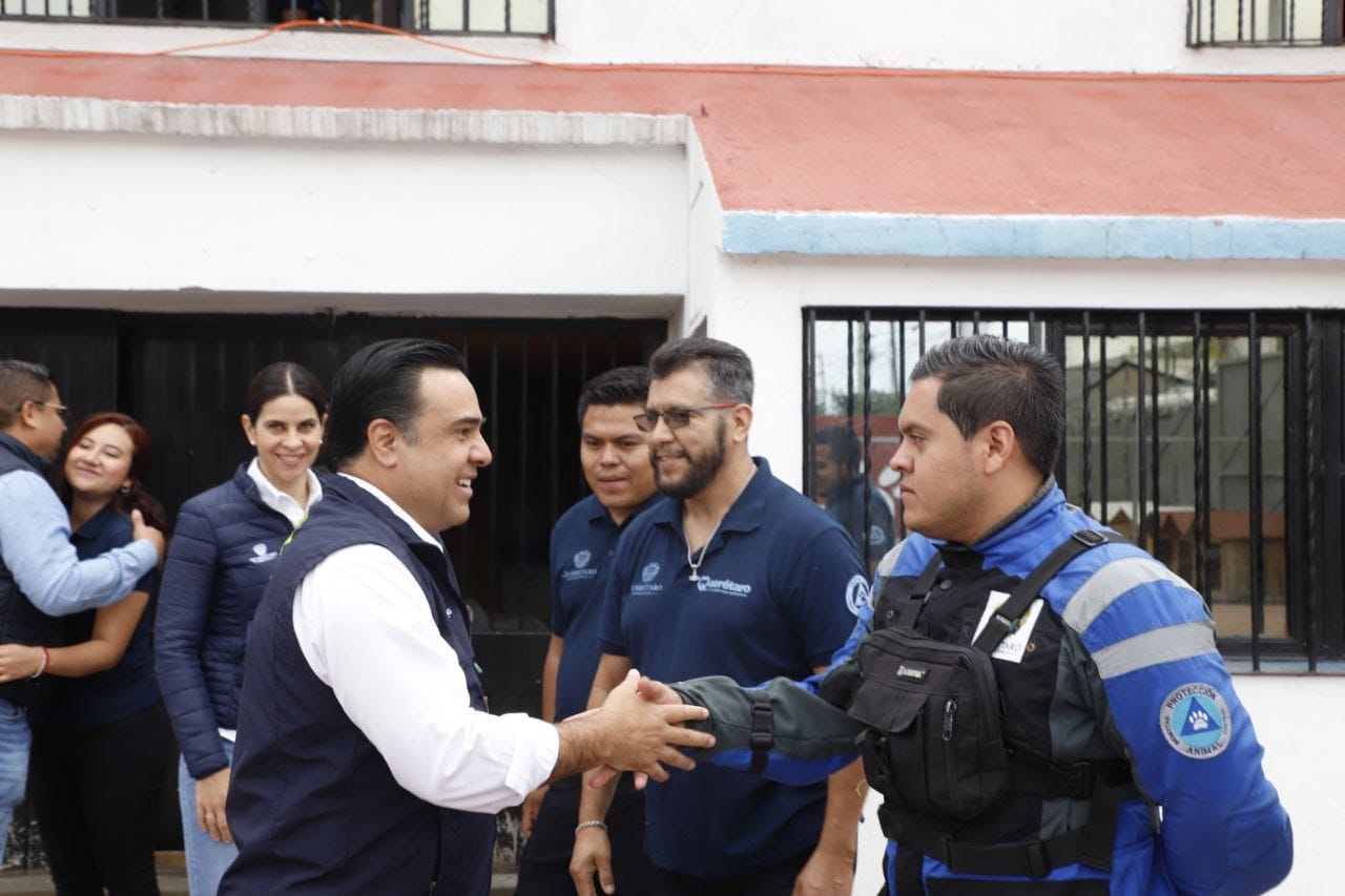 Imagen de Municipio de Querétaro, pionero en la atención y cuidado animal: Luis Nava 2