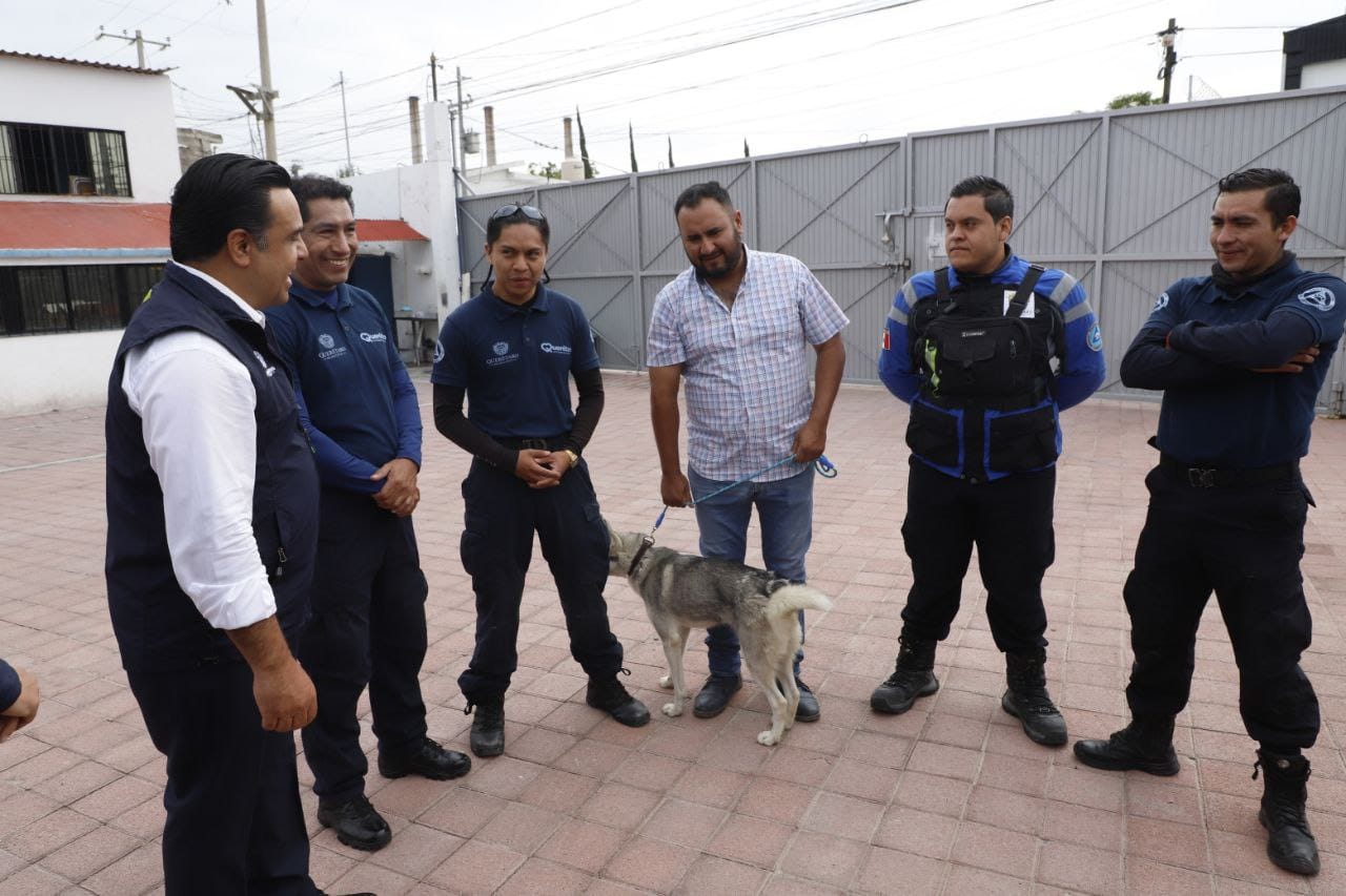 Imagen de Municipio de Querétaro, pionero en la atención y cuidado animal: Luis Nava 3