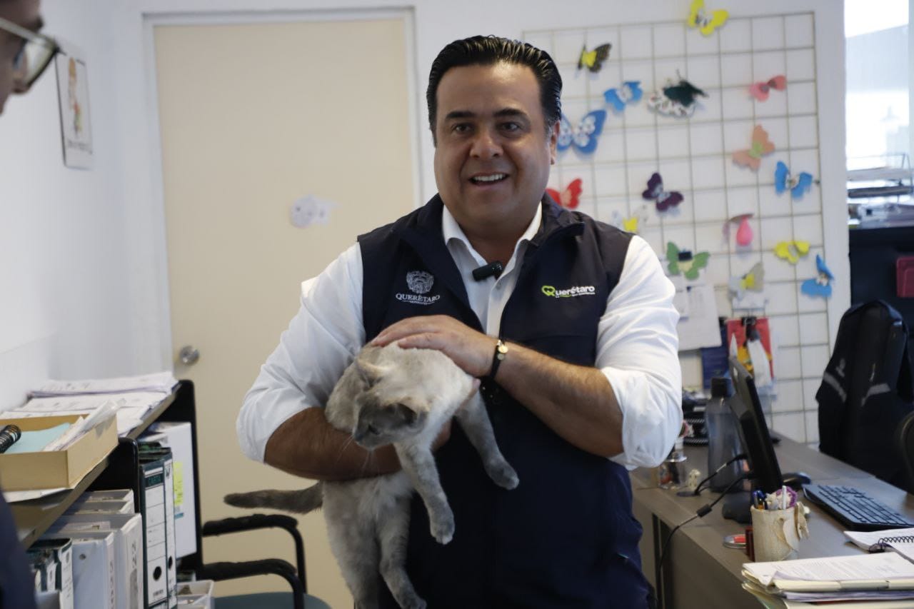 Imagen de Municipio de Querétaro, pionero en la atención y cuidado animal: Luis Nava 1