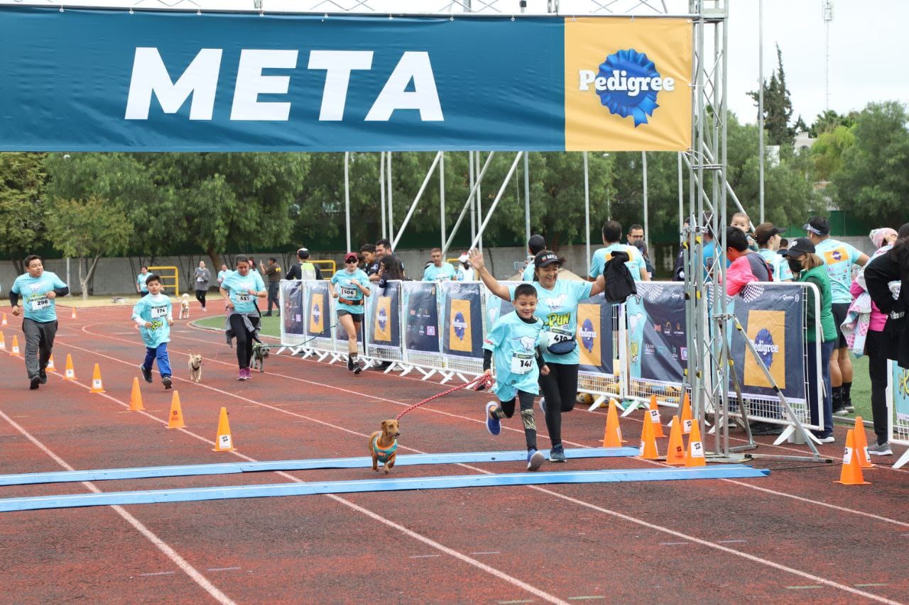 Imagen de 600 corredoras y corredores y 300 perros participan en la carrera P-Run 2023 4