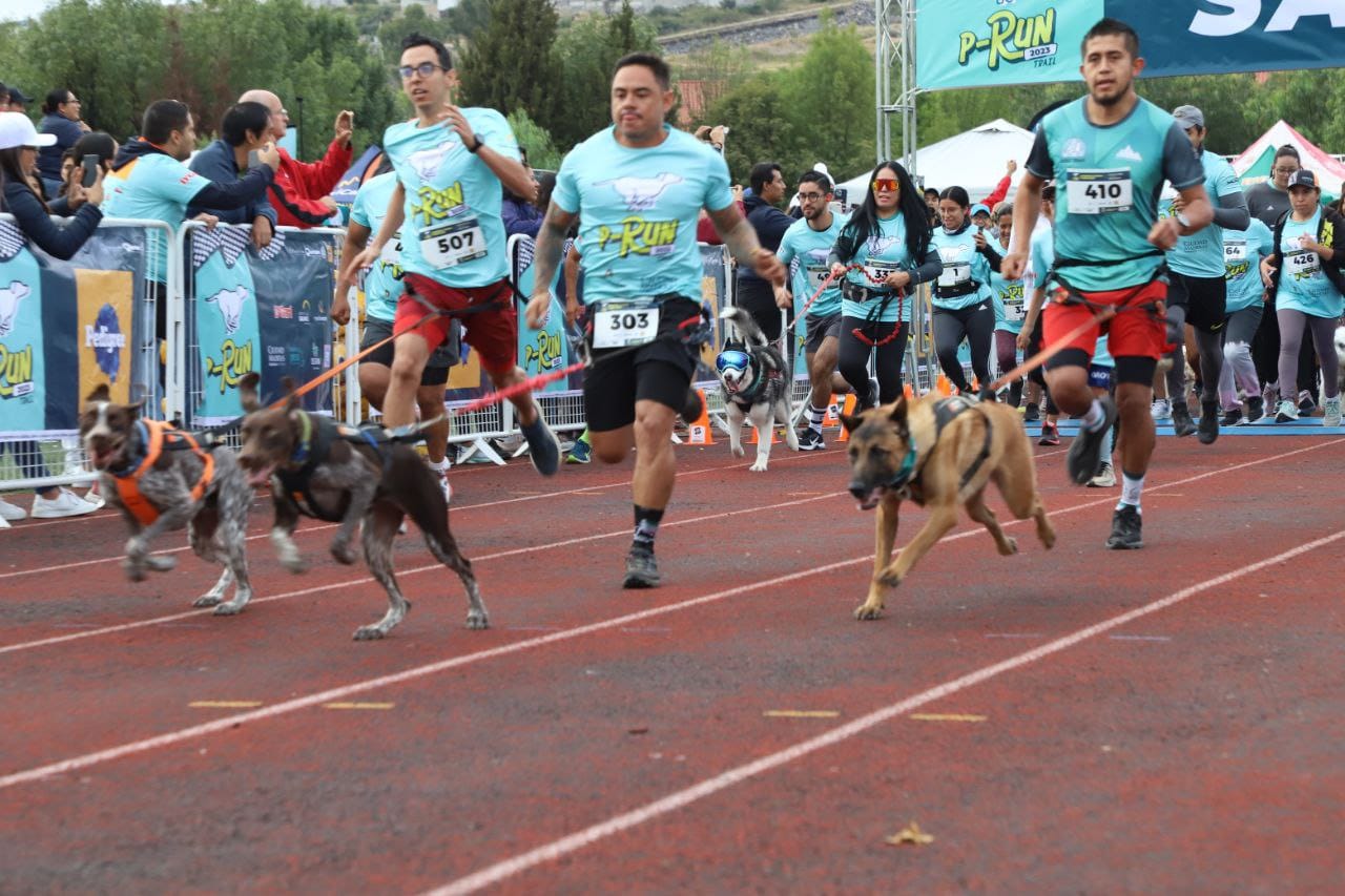 Imagen de 600 corredoras y corredores y 300 perros participan en la carrera P-Run 2023 3