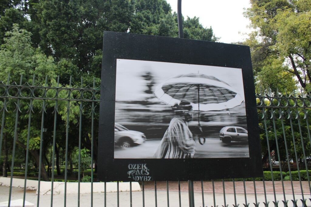 Imagen de Llega a la Galería Perímetro Alameda exposición “Reflejos Urbanos” Reimaginar identidades en Querétaro 6