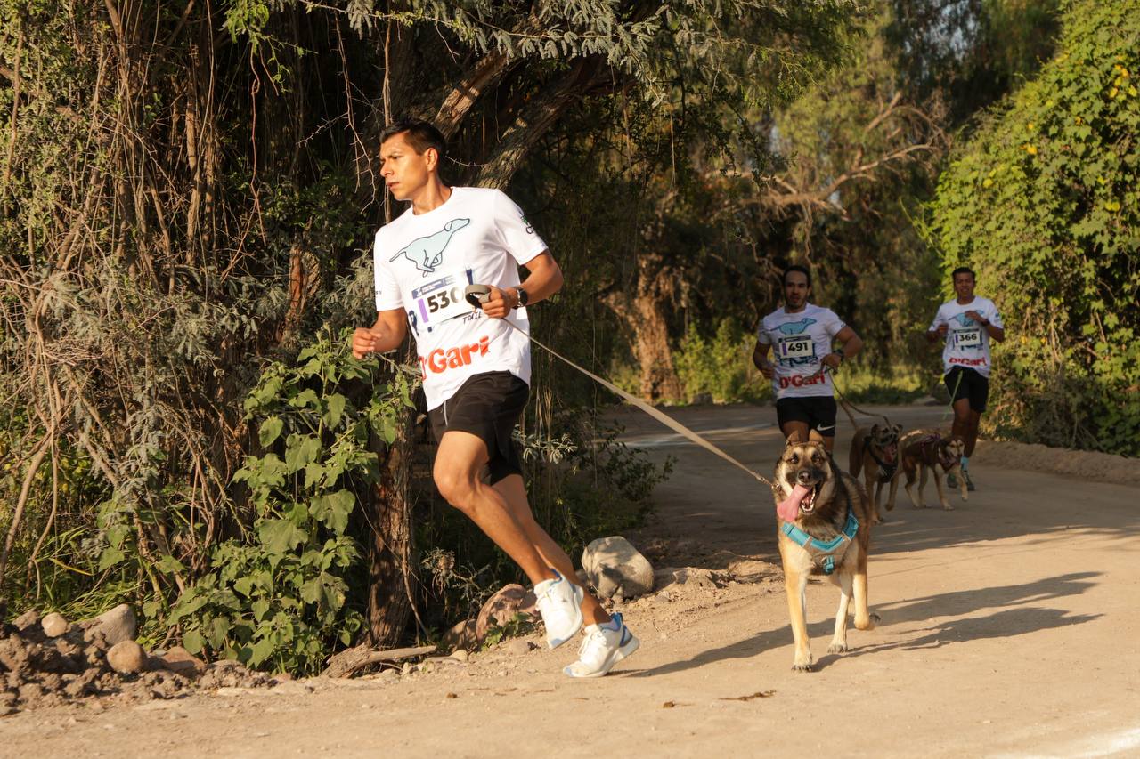 Imagen de Gran éxito de la Carrera Canina P-Run 2024 en La Queretana 8