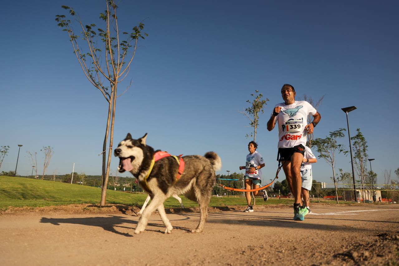 Imagen de Gran éxito de la Carrera Canina P-Run 2024 en La Queretana 7