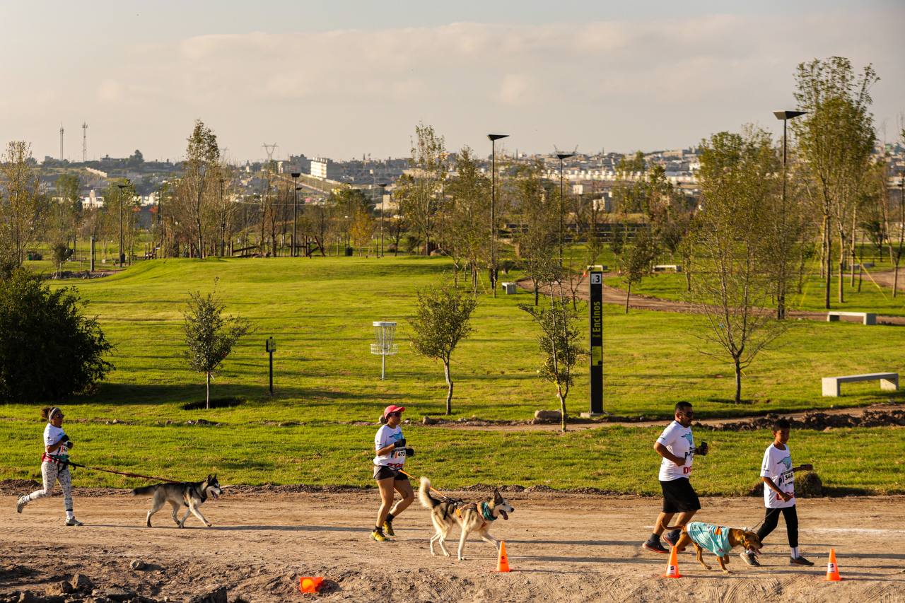 Imagen de Gran éxito de la Carrera Canina P-Run 2024 en La Queretana 9