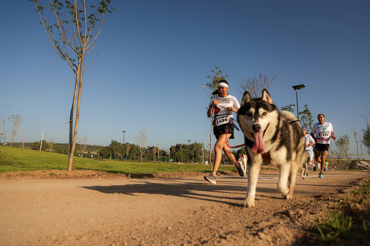 Imagen de Gran éxito de la Carrera Canina P-Run 2024 en La Queretana 5