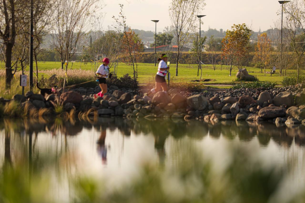 Imagen de Gran éxito de la Carrera Canina P-Run 2024 en La Queretana 4