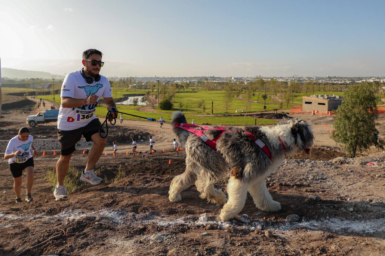 Imagen de Gran éxito de la Carrera Canina P-Run 2024 en La Queretana 3