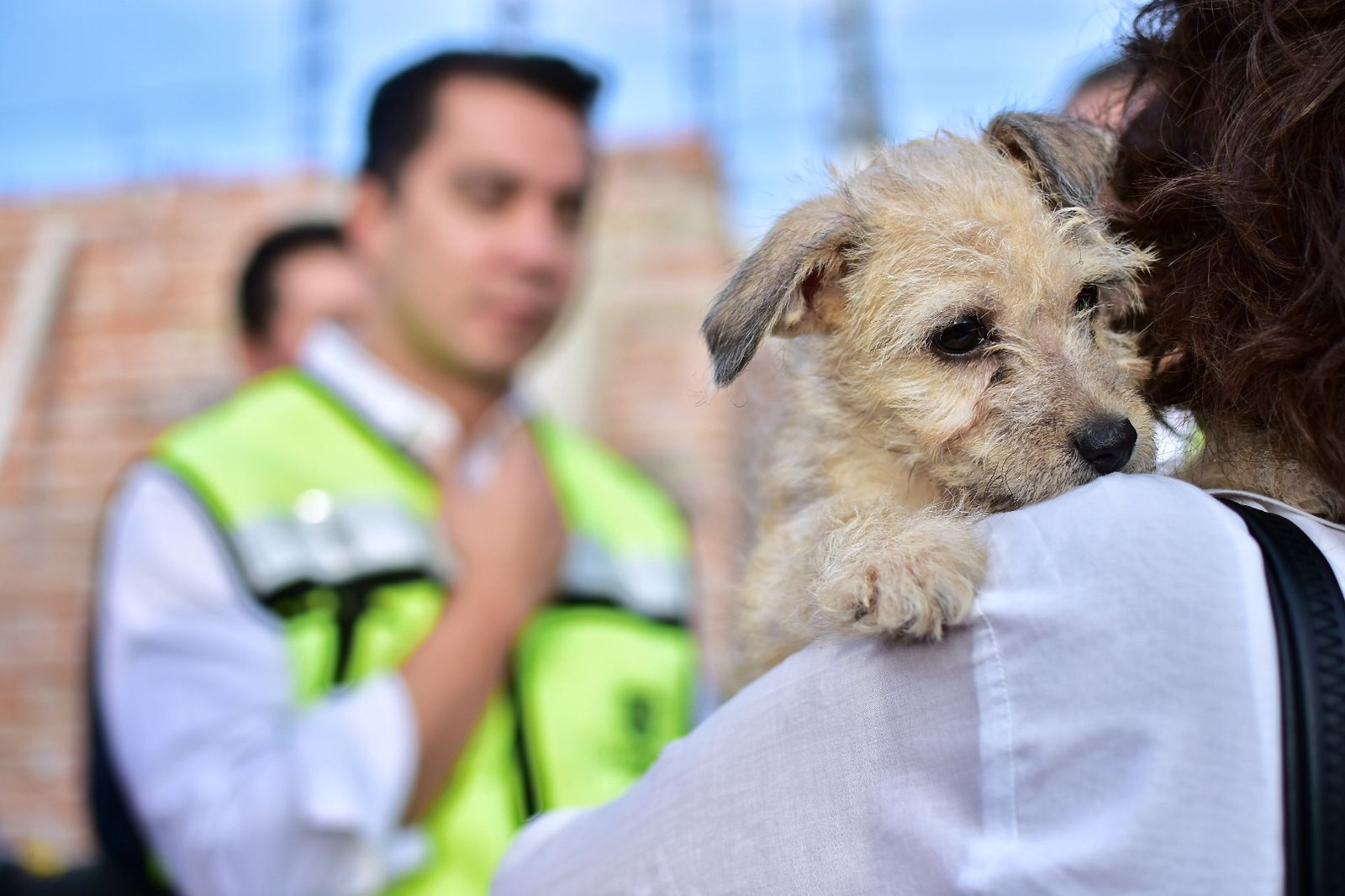 Imagen de Supervisa Felifer construcción del Centro Integral de Bienestar Animal 2