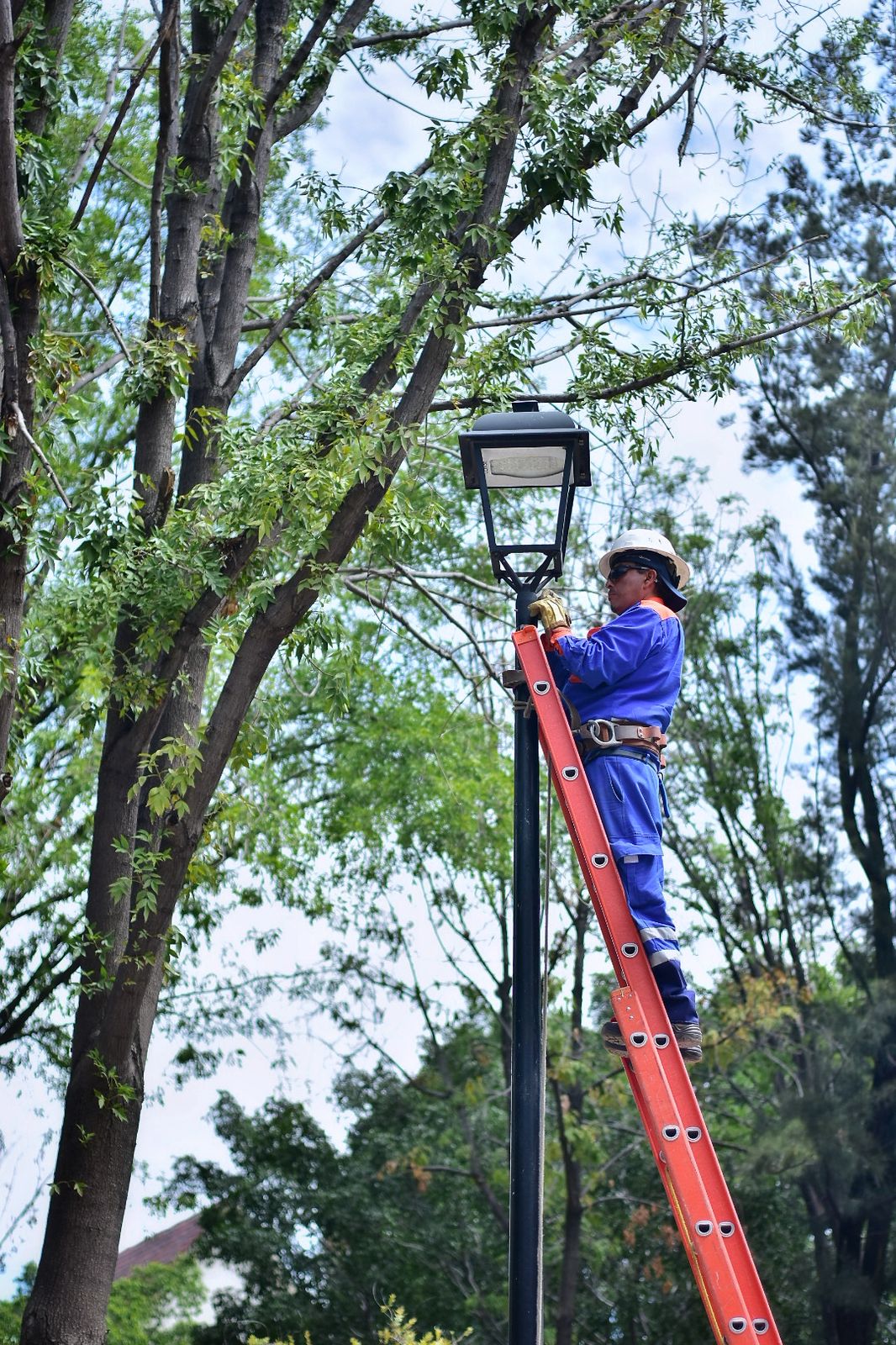 Imagen de Supervisa Felifer Macías rehabilitación de espacios públicos en Jardines de la Hacienda 5