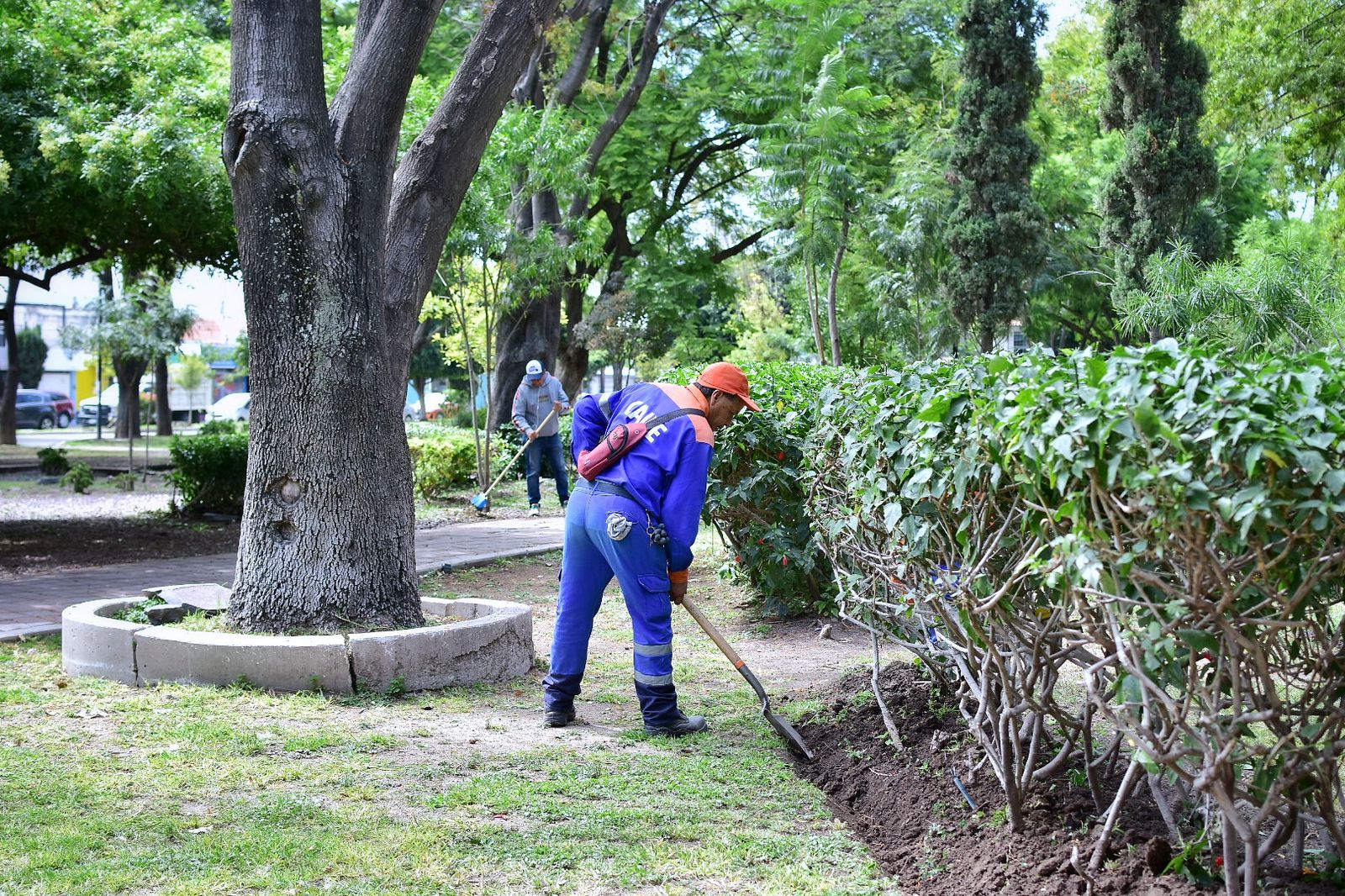 Imagen de Supervisa Felifer Macías rehabilitación de espacios públicos en Jardines de la Hacienda 6