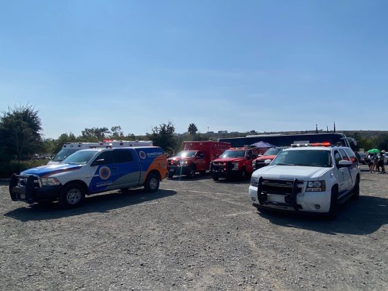 Atiende Municipio de Querétaro incidente con abejas en el Parque Bicentenario