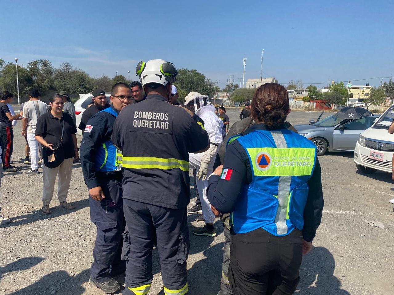 Imagen de Atiende Municipio de Querétaro incidente con abejas en el Parque Bicentenario 6