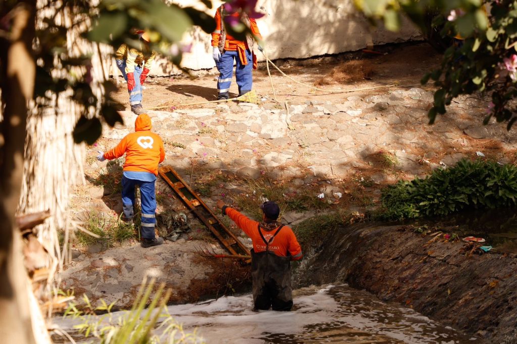 Imagen de Participa Felifer Macías en el saneamiento del Río Querétaro 10