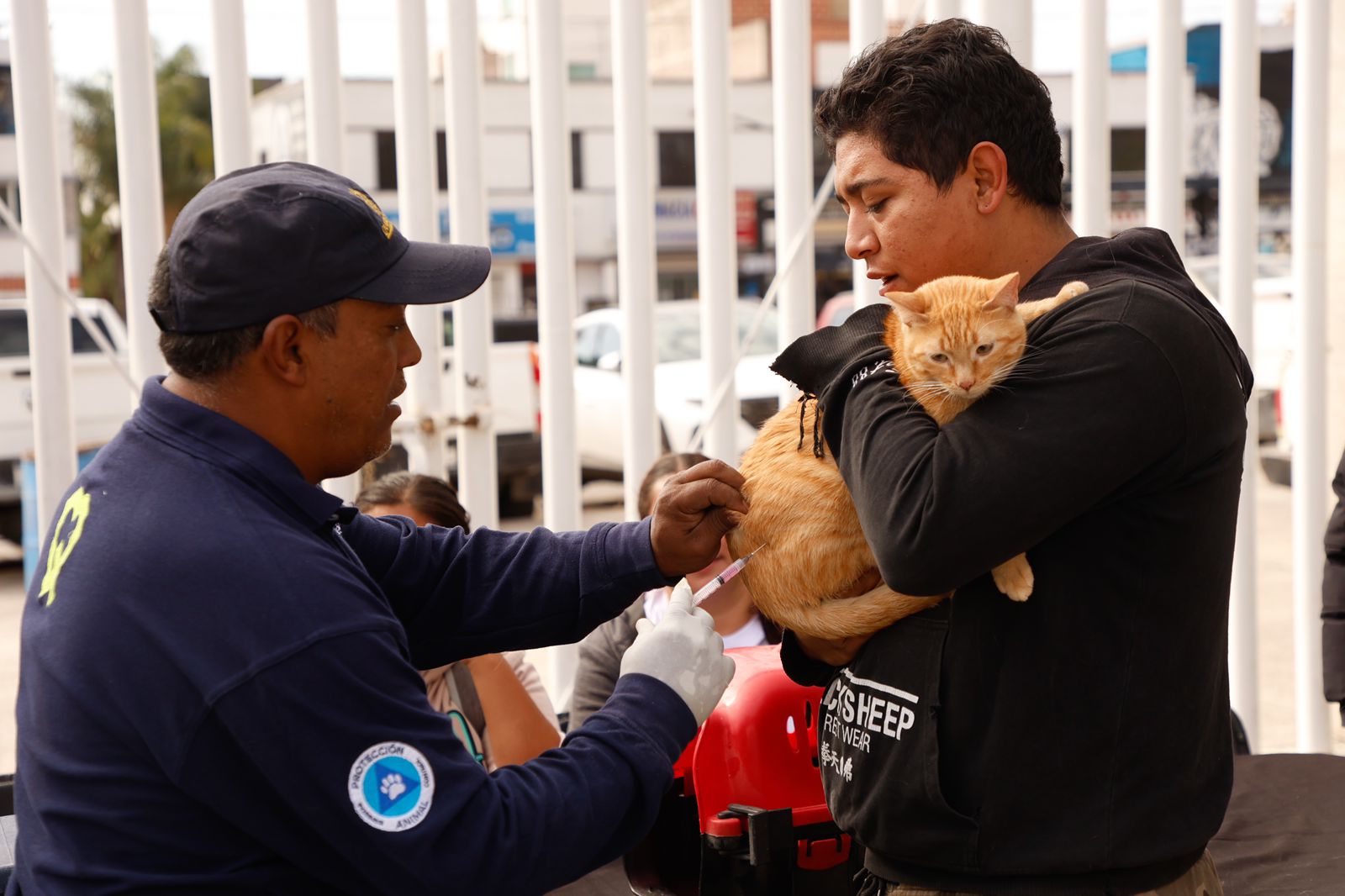 Imagen de Asiste Felifer Macías a la Mega Jornada de Esterilización y Vacunación 2