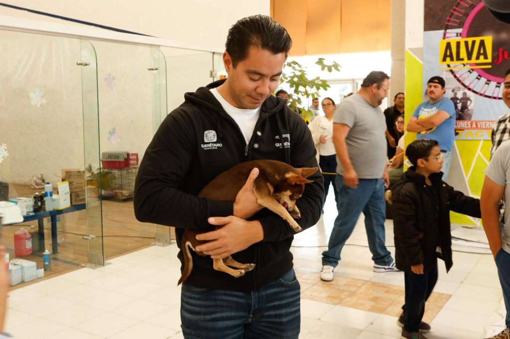 Imagen de Asiste Felifer Macías a la Mega Jornada de Esterilización y Vacunación 8