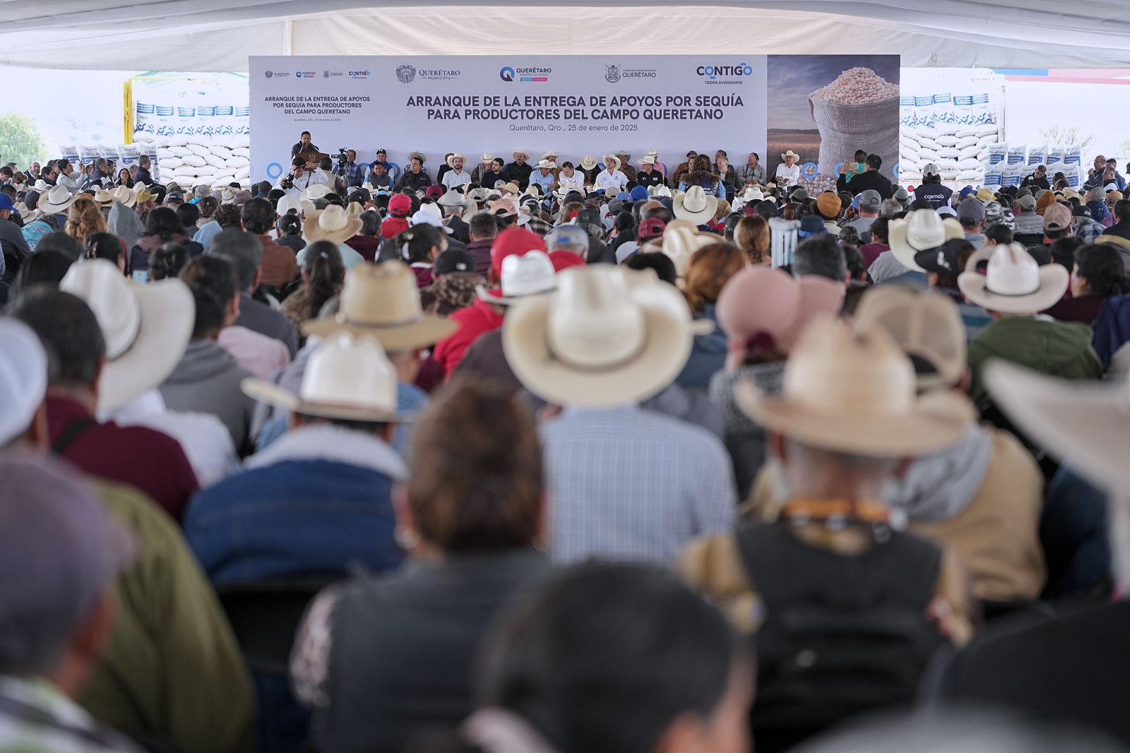 Imagen de Asiste Felifer Macías a la entrega de apoyos por sequía a productores del campo queretano 5