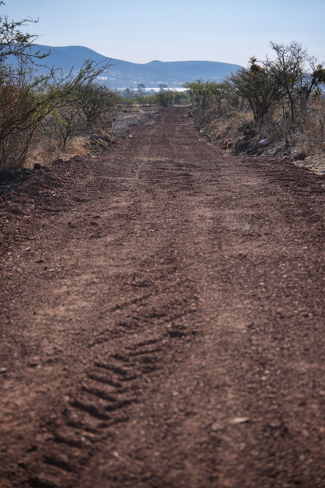 Imagen de Entrega Felifer Macías rehabilitación de camino de saca en ejido Pie de Gallo 2