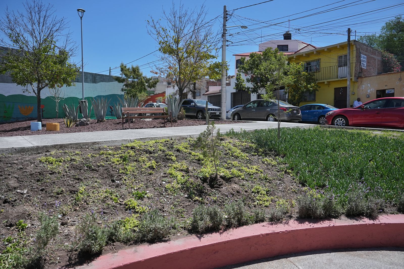 Imagen de Entrega Felifer Macías trabajos de Alcalde en Acción en la colonia España 6