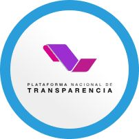 icon-transparencia-pnt Imagen de Accede a Información Pública 2