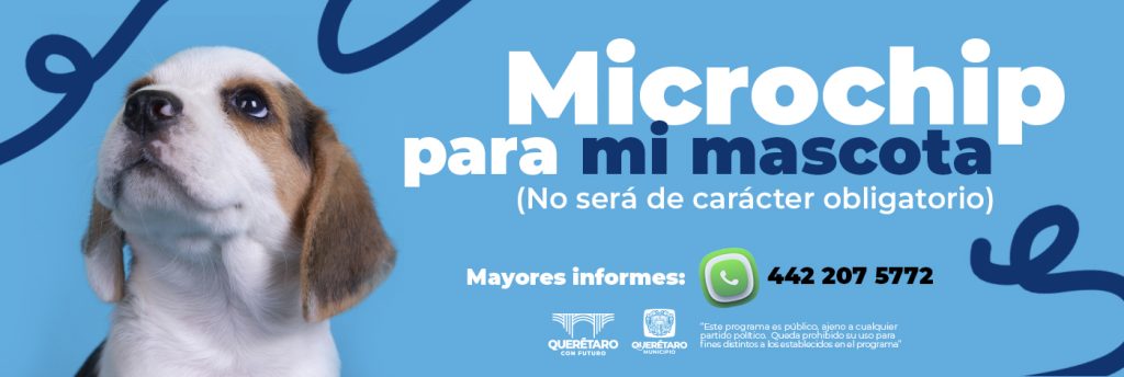 Imagen de Secretaría de Bienestar Animal 1