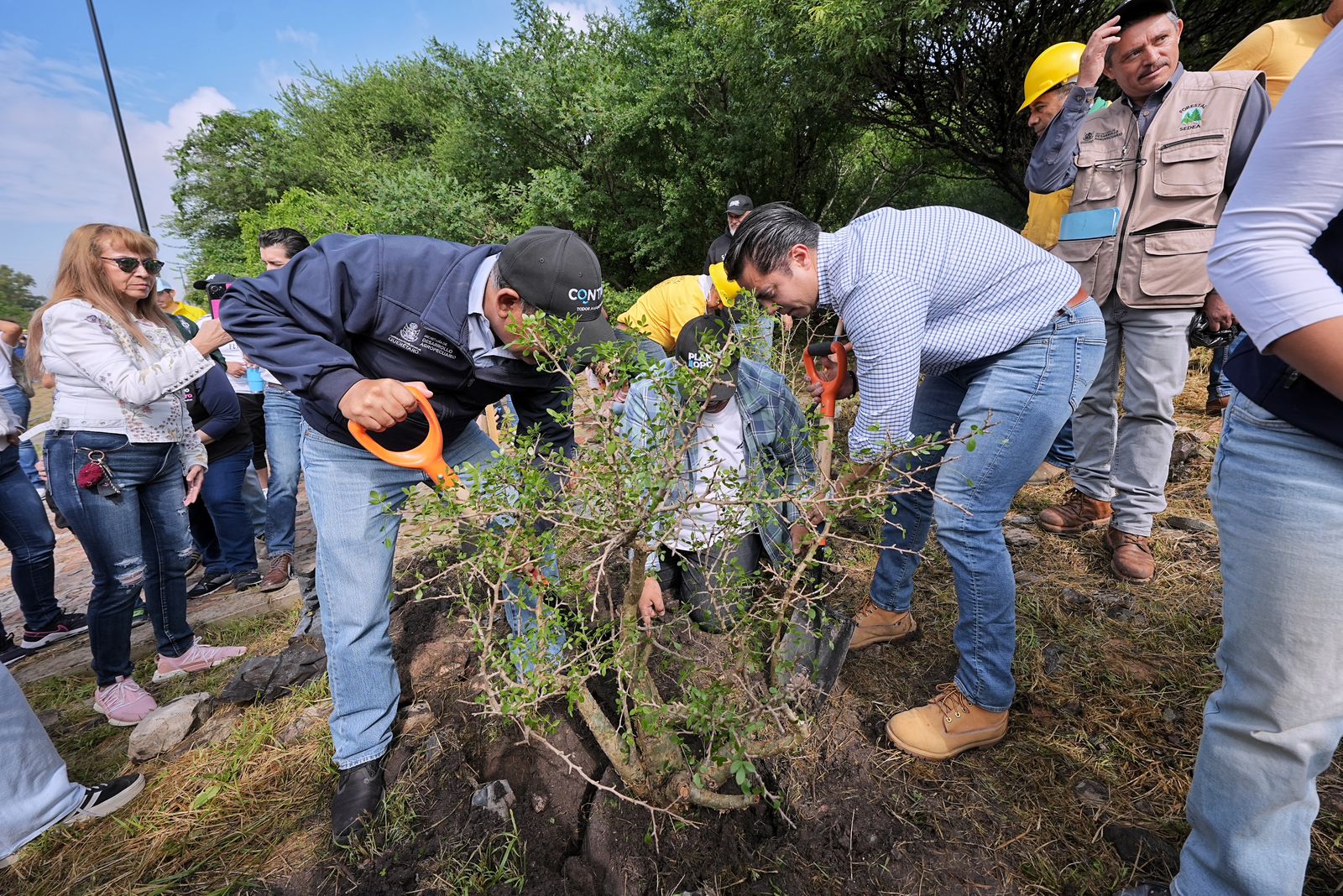 Imagen de Participa Felifer Macías en la jornada Reverdecer Querétaro 4