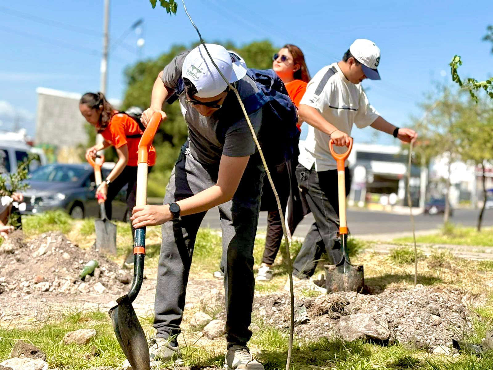 Imagen de Siembra municipio mil árboles para “Reverdecer Querétaro” 5
