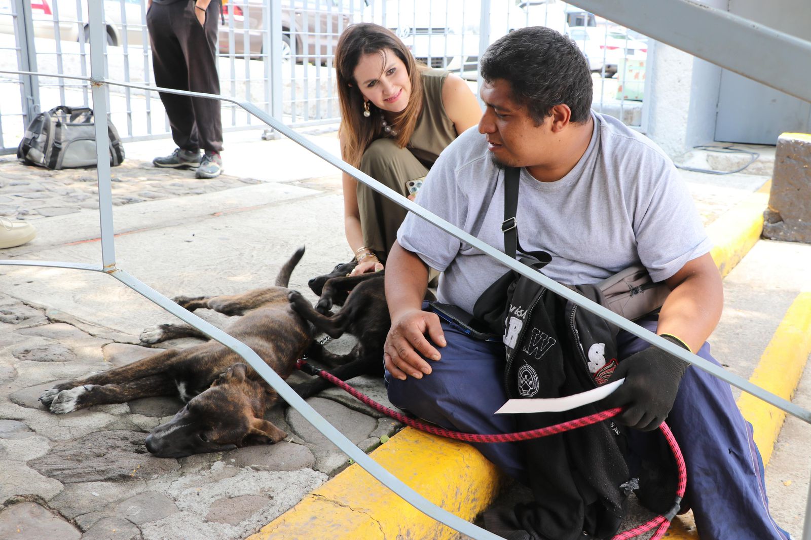 Imagen de Jóvenes del DIF Municipal entrenarán a perros rescatados en innovador proyecto del Municipio de Querétaro 3
