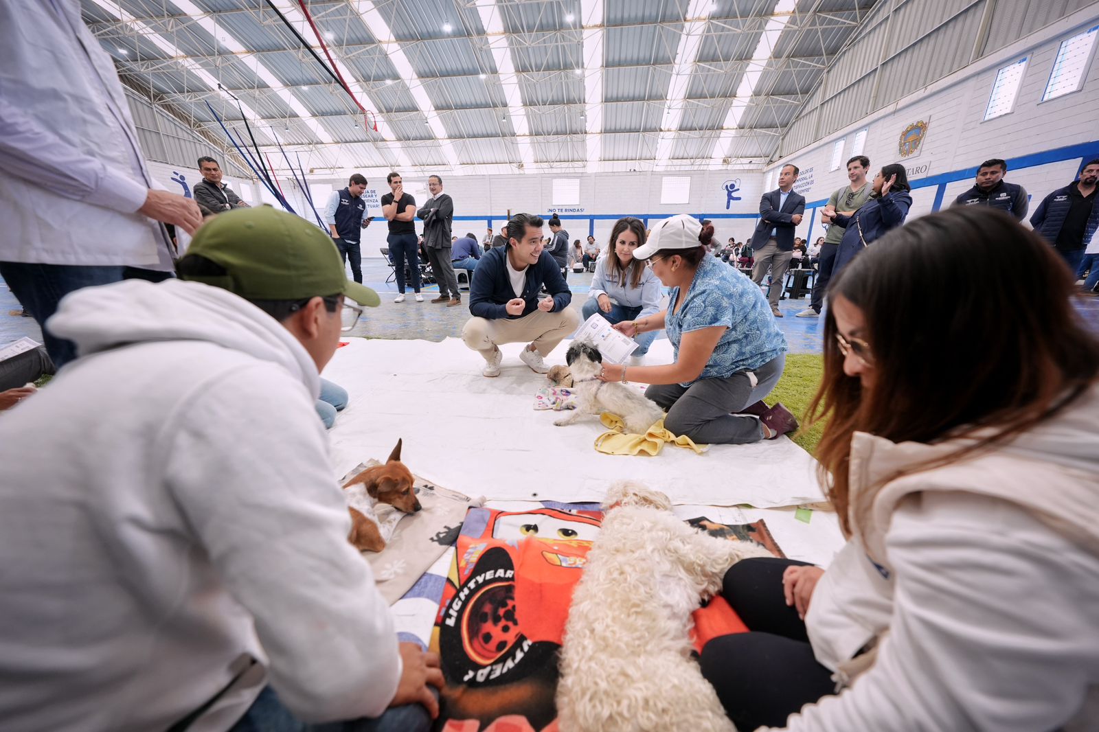Imagen de Firma Felifer Macías convenio de colaboración entre el municipio de Querétaro y Mars Petcare México 6