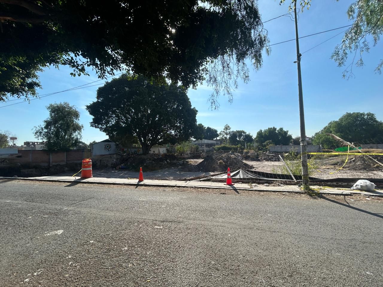 Imagen de Municipio de Querétaro atiende denuncia ciudadana por posible afectación a árbol en Las Teresas 7