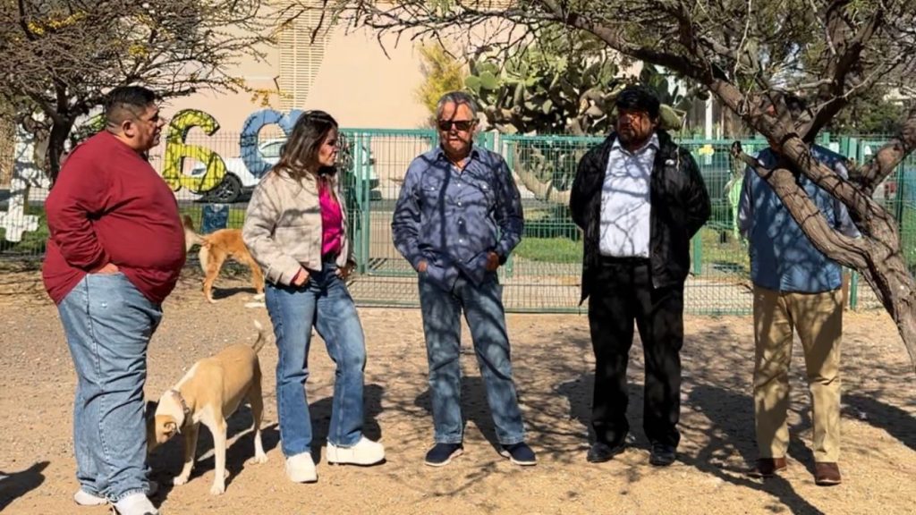 Imagen de Municipio de Querétaro realiza acciones permanentes de bienestar animal 14