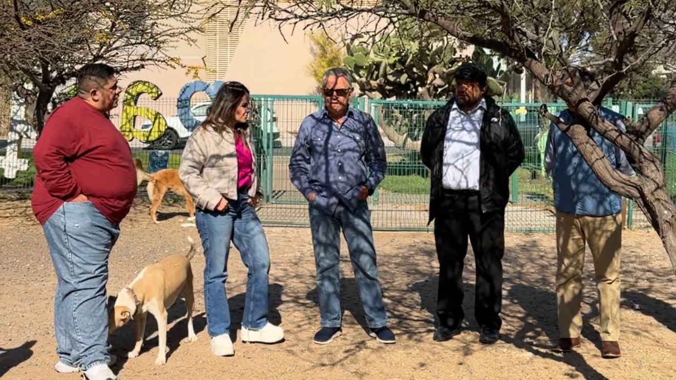 Imagen de Municipio de Querétaro realiza acciones permanentes de bienestar animal 2