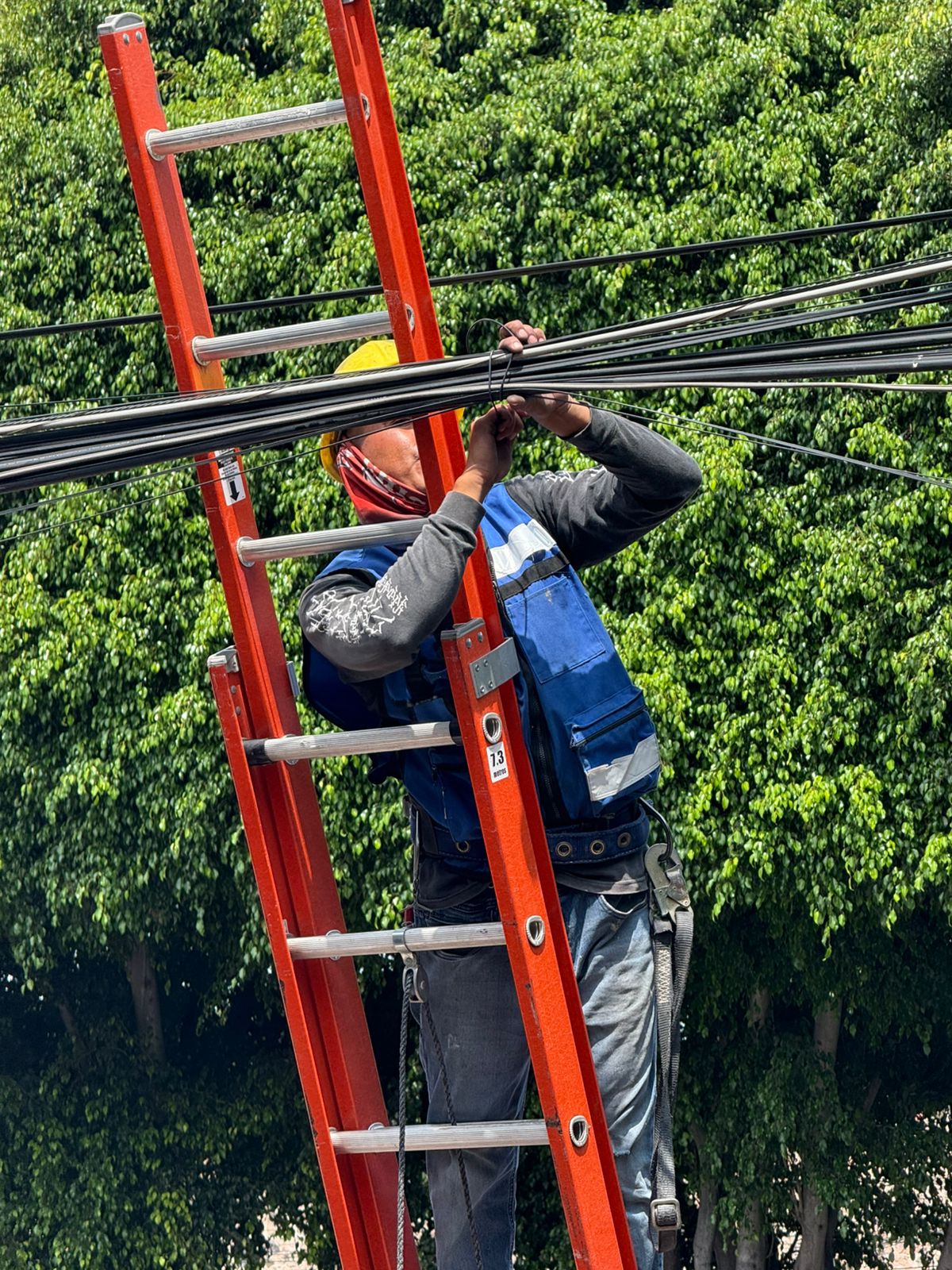 WhatsApp Image 2026-02-16 at 9.52.37 AM (1) Imagen de Continúa en 2026 el retiro de cableado en desuso para fortalecer el orden y la seguridad vial en el municipio 2