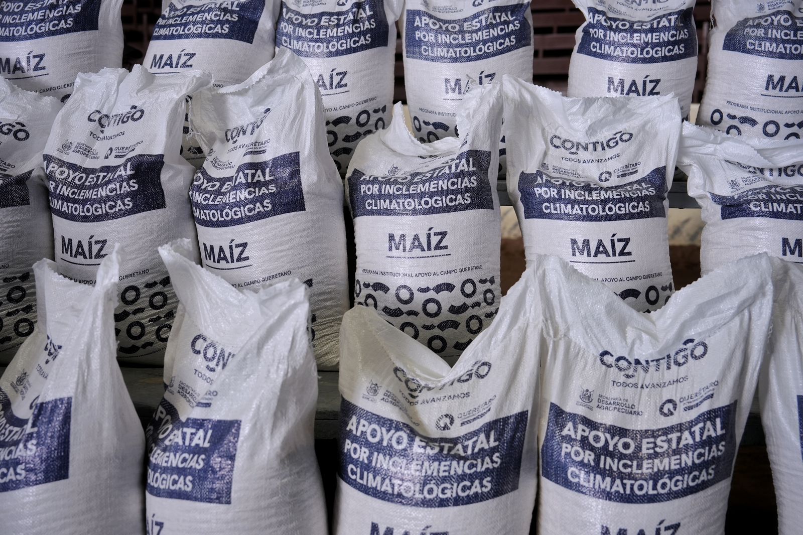Imagen de Entrega Felifer Macías equipamiento del programa Municipalizado 4