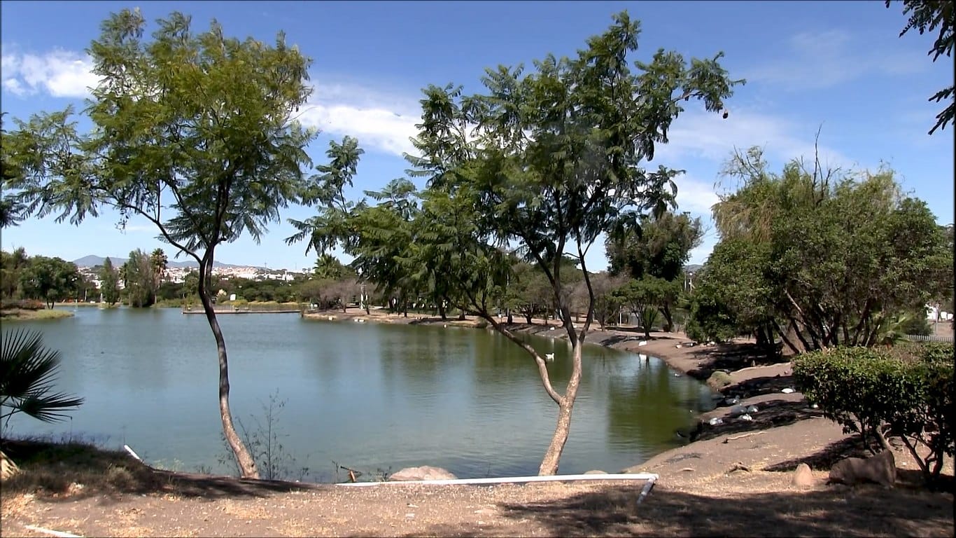 Imagen de Invita Felifer Macías a celebrar el Día Mundial del Agua en el parque La Queretana 1