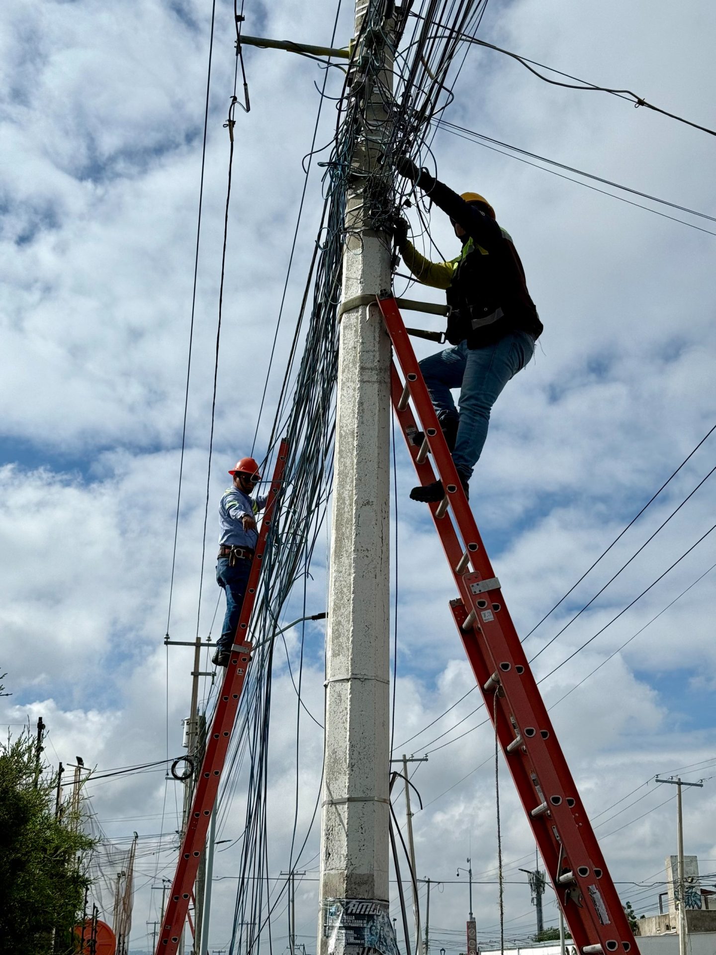 WhatsApp Image 2026-03-23 at 10.20.25 AM (1) Imagen de Impulsa Felifer Macías el retiro de cableado en desuso de las principales avenidas de la capital 1