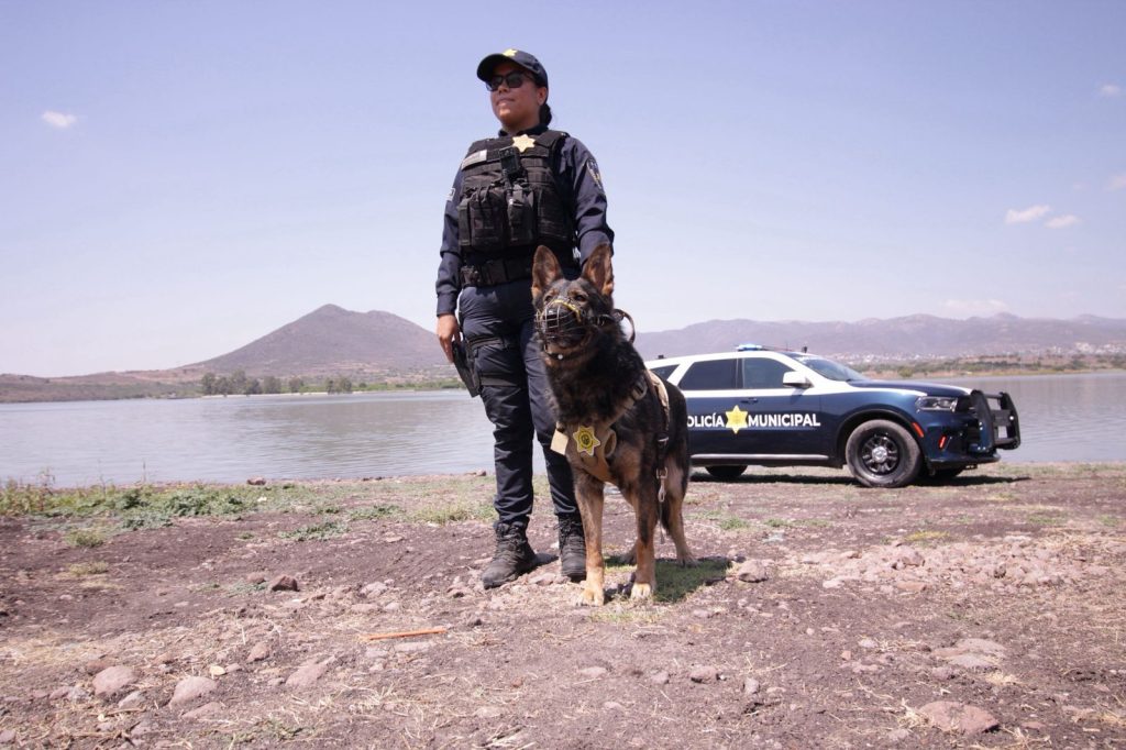 Imagen de Saldo blanco durante periodo vacacional en el municipio de Querétaro 18