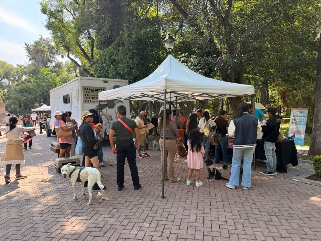 Imagen de Participa la Secretaría de Bienestar Animal en afiliación de mascotas al sistema Qrobus 12