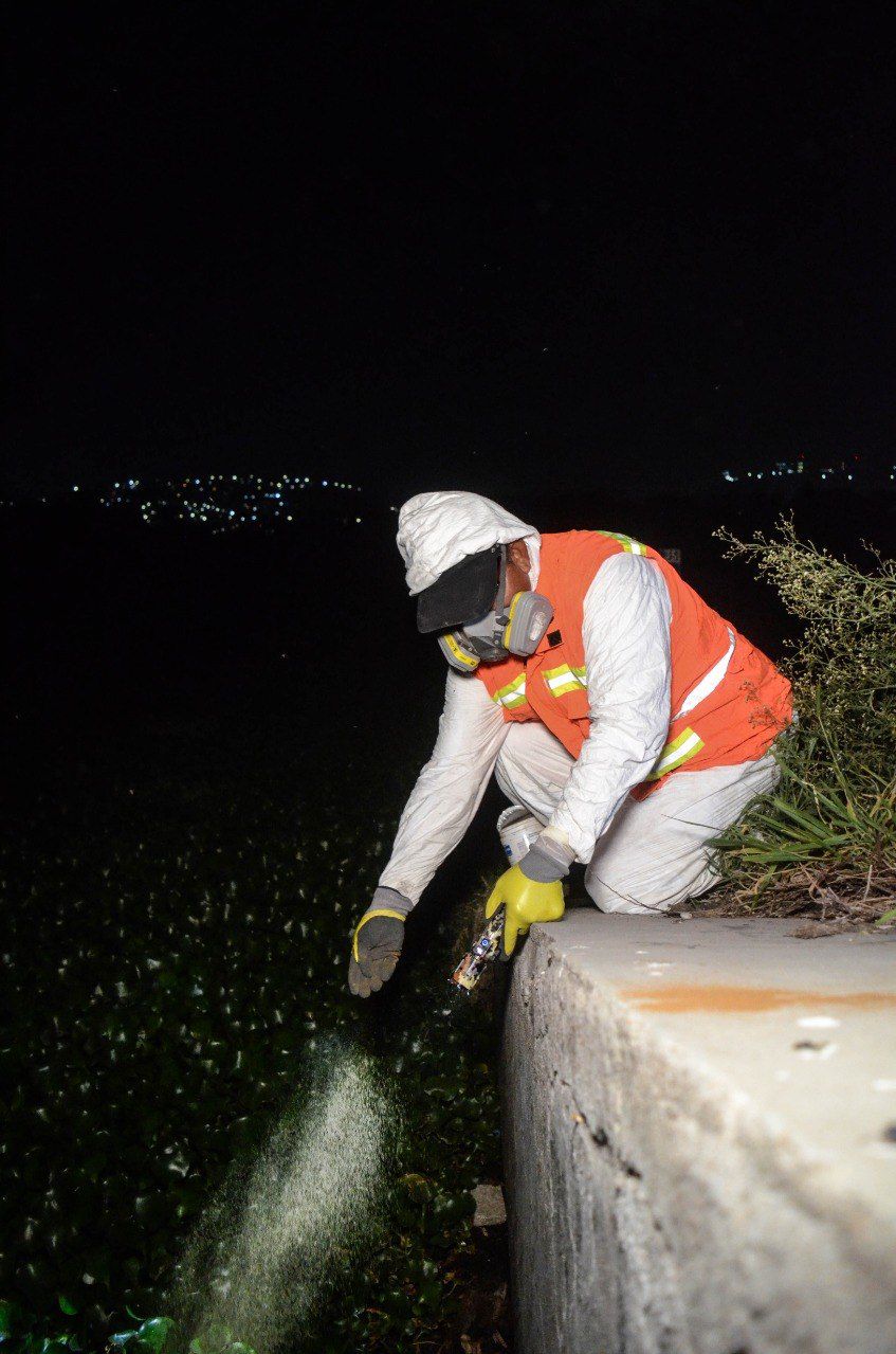 WhatsApp Image 2026-05-02 at 1.52.21 PM (1) Imagen de Refuerza Municipio de Querétaro acciones contra mosquitos en Querétaro 2000 y zonas aledañas 1