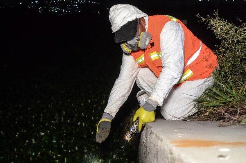 Imagen de Refuerza Municipio de Querétaro acciones contra mosquitos en Querétaro 2000 y zonas aledañas 2