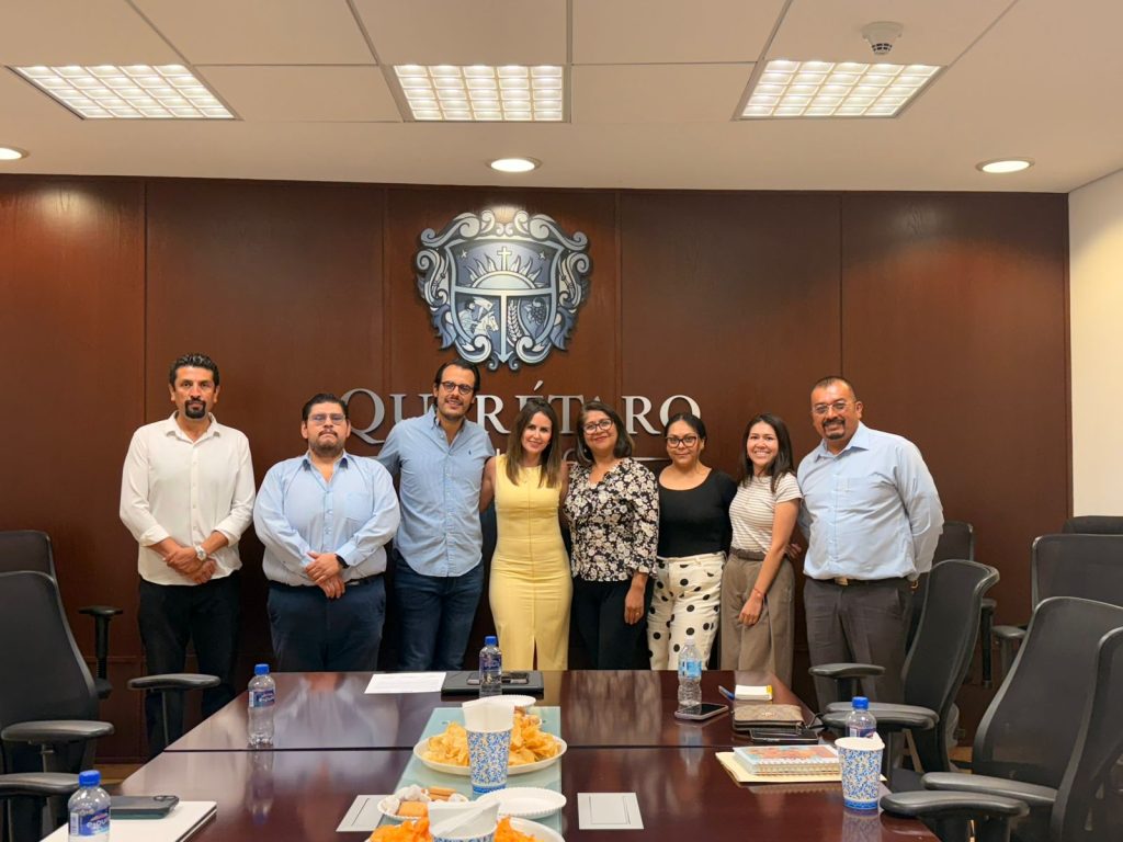 Imagen de Municipio de Querétaro presenta ante Cabildo Metropolitano programa de microchip de identificación para mascotas 8