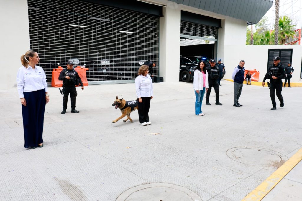 Imagen de Visita Procuraduría de Protección de Niñas, Niños y Adolescentes del SMDIF las instalaciones de la SSC 18