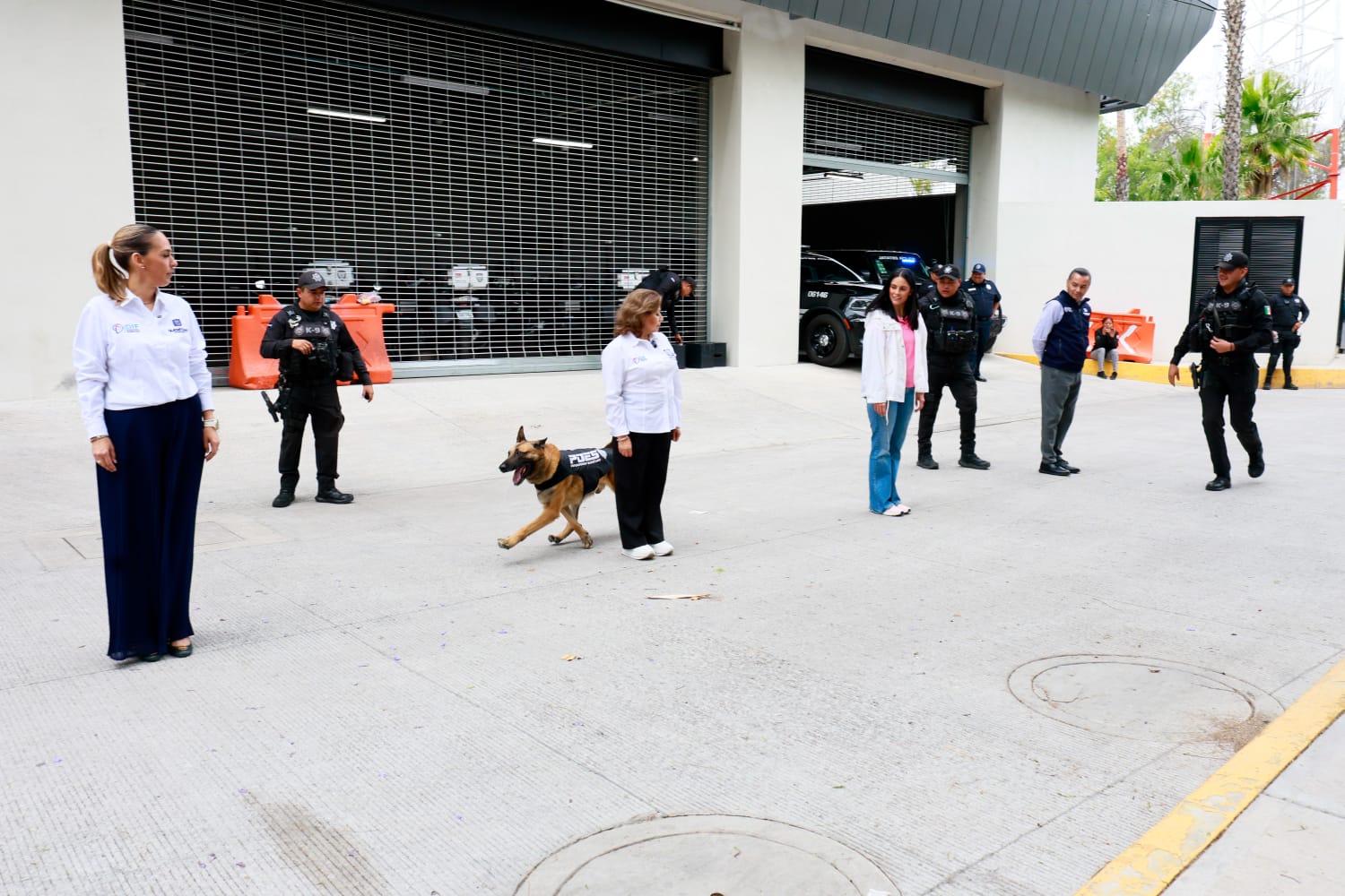 Imagen de Visita Procuraduría de Protección de Niñas, Niños y Adolescentes del SMDIF las instalaciones de la SSC 7