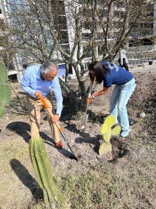 Imagen de Invita Felifer Macías a participar en las Jornadas de Reforestación 2026 26