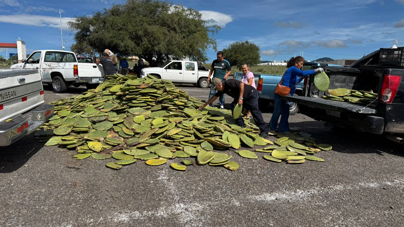 Imagen de Entrega Municipio de Querétaro Semilla de Maíz a productores queretanos 1