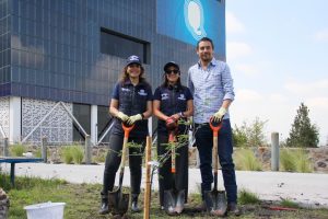 Imagen de Realiza Municipio de Querétaro jornada de reforestación en BLOQUE 1