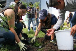 Imagen de Realiza Municipio de Querétaro jornada de reforestación en BLOQUE 2